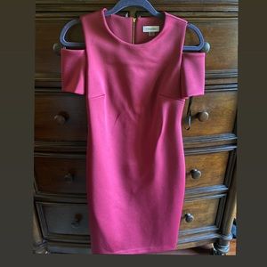 Calvin Klein Maroon Fitted Dress